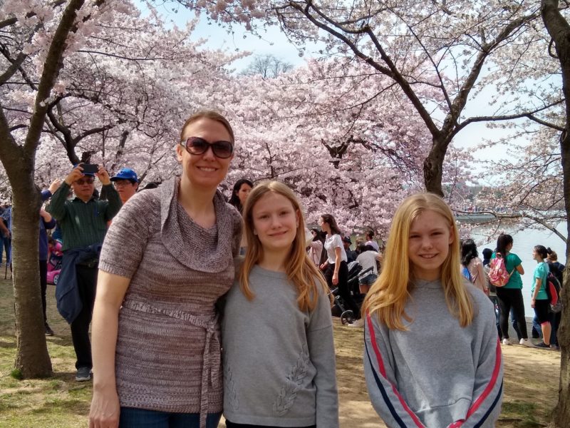 Day 7- Cherry Blossoms!